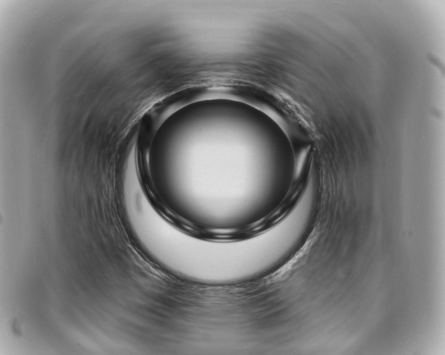 X0000094421449200711081128