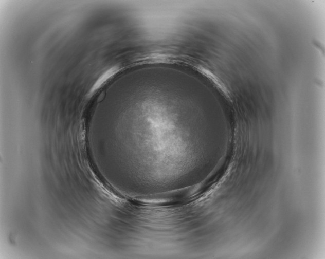 X0000094421450200711081128