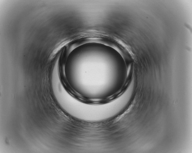 X0000094421453200711081128