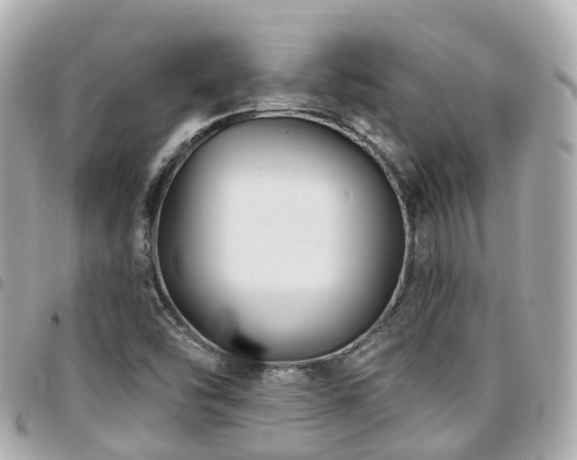 X0000094421454200711081128