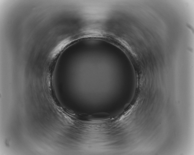 X0000094421455200711081128