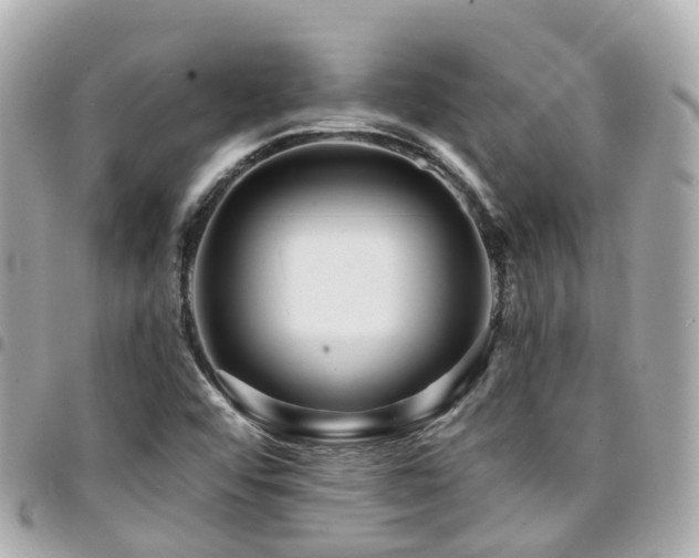 X0000094421456200711081128