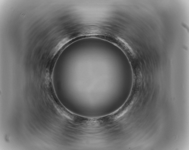 X0000094421457200711081128