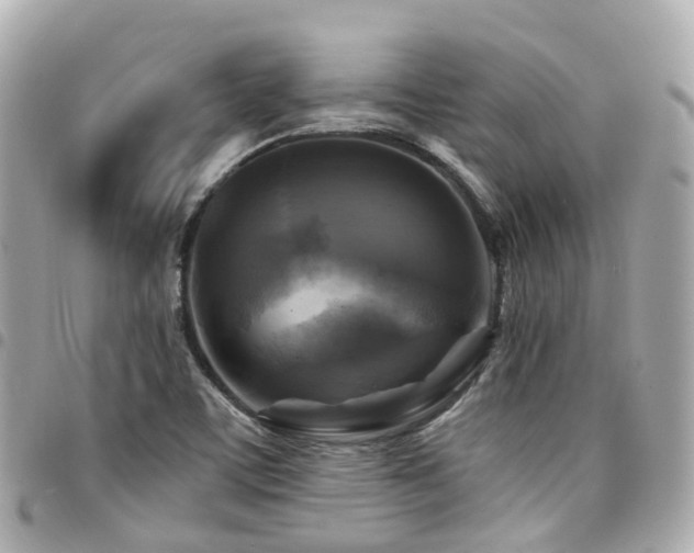 X0000094421459200711081127
