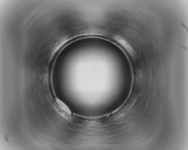 X0000094421460200711081127
