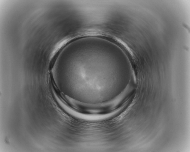 X0000094421461200711081127