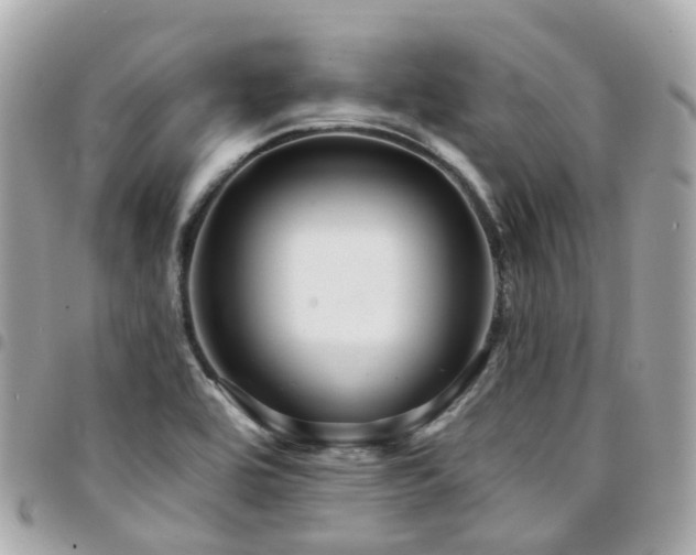 X0000094421464200711081127