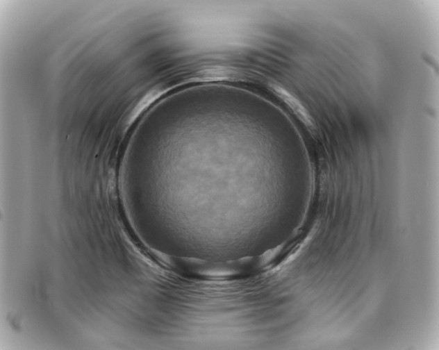 X0000094421465200711081127