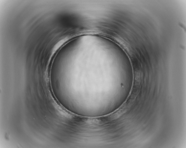 X0000094421466200711081127