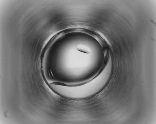 X0000094421468200711081127