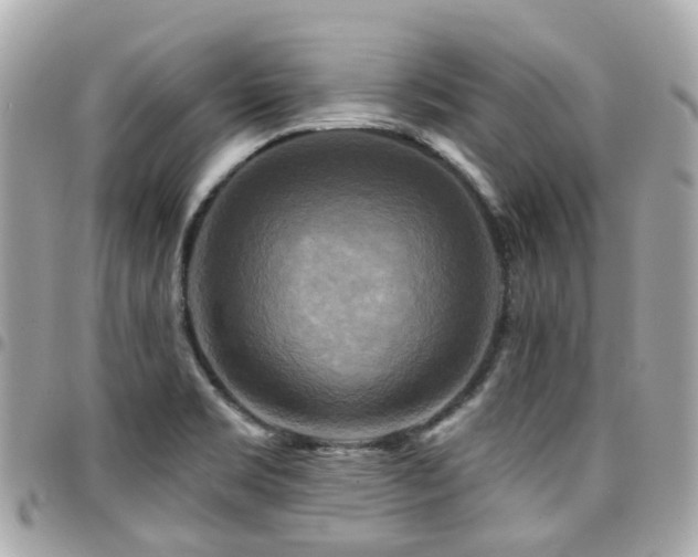 X0000094421469200711081127