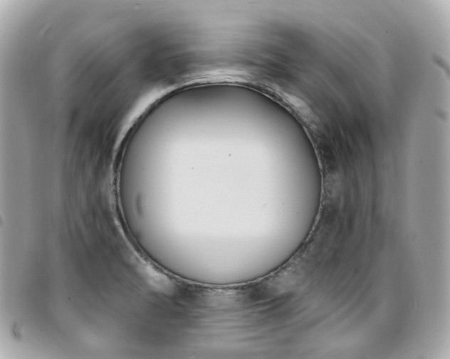 X0000094421470200711081127