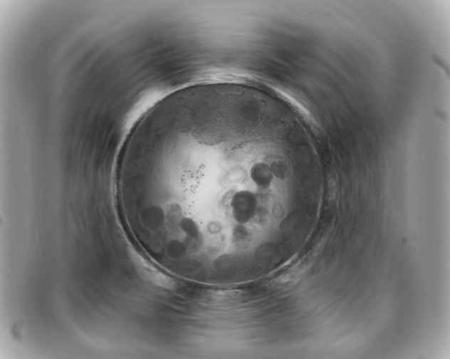 X0000094421471200711081127