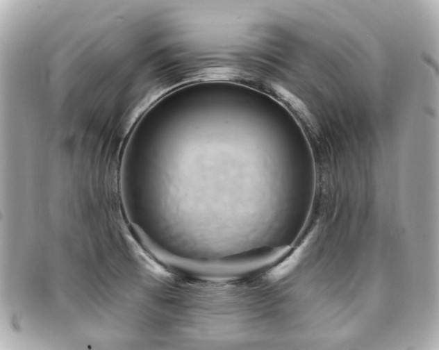 X0000094421473200711081127