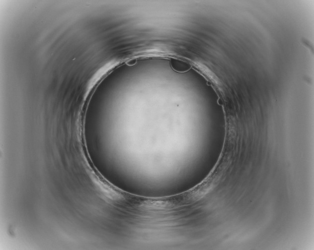 X0000094421474200711081127