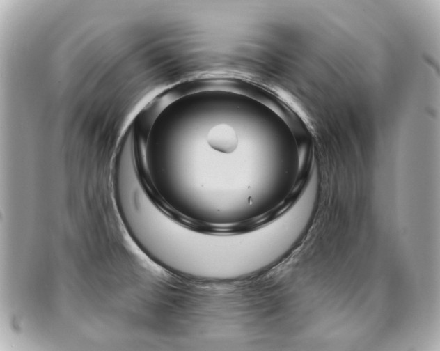 X0000094421476200711081127