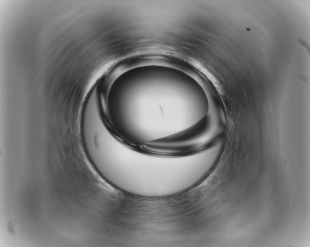X0000094421477200711081127