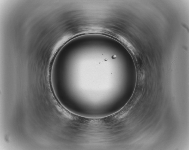 X0000094421480200711081127