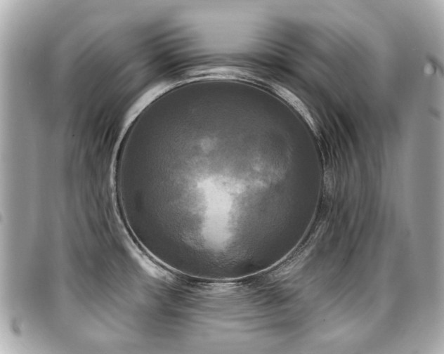 X0000094421482200711081127