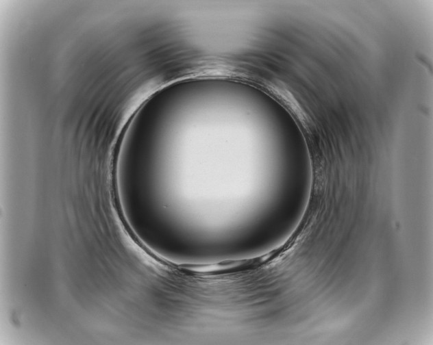 X0000094421483200711081127