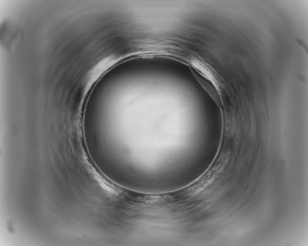 X0000094421485200711081127