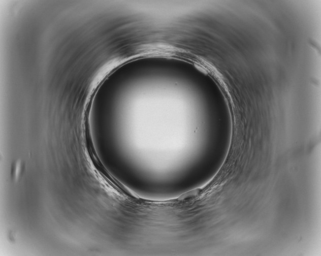 X0000094421488200711081127