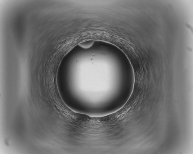X0000094421489200711081127