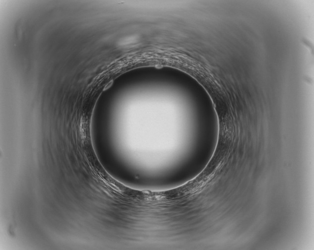 X0000094421490200711081127
