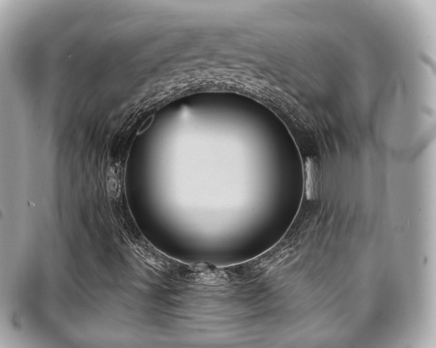 X0000094421491200711081127