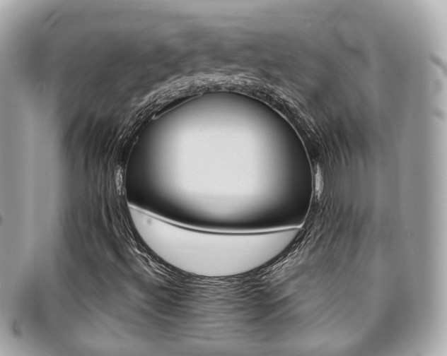 X0000094421492200711081127