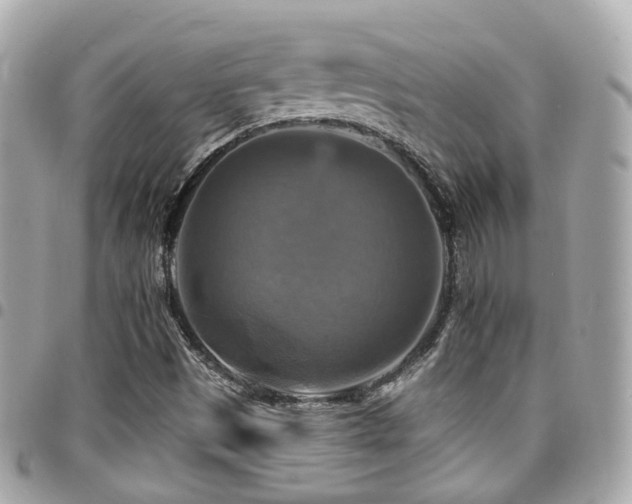 X0000094421497200711081127
