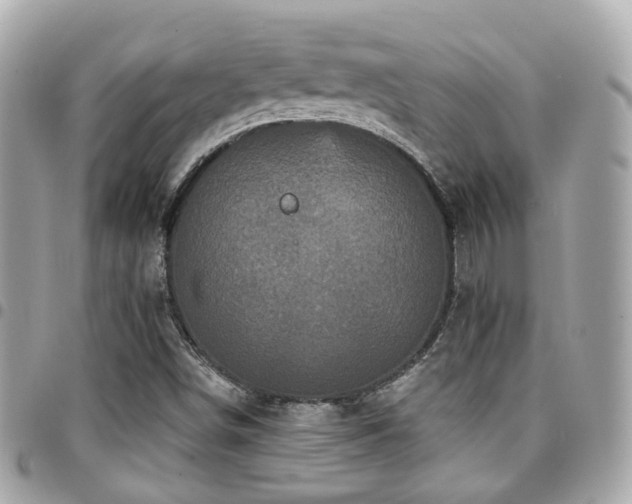 X0000094421498200711081127
