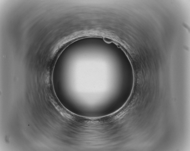 X0000094421499200711081127