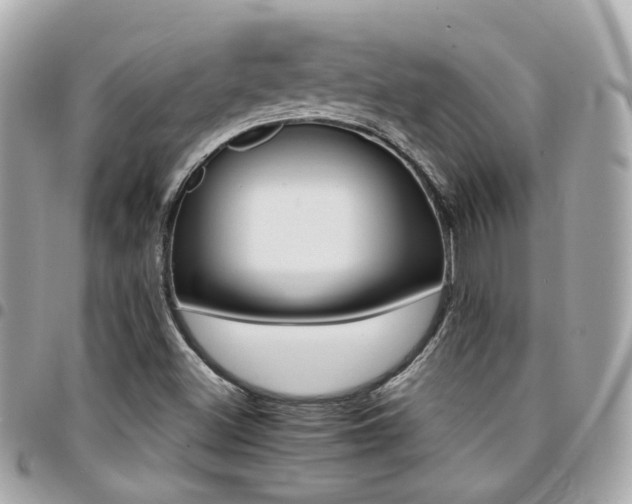 X0000094421500200711081127