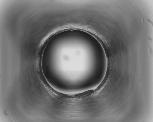 X0000094421502200711081127