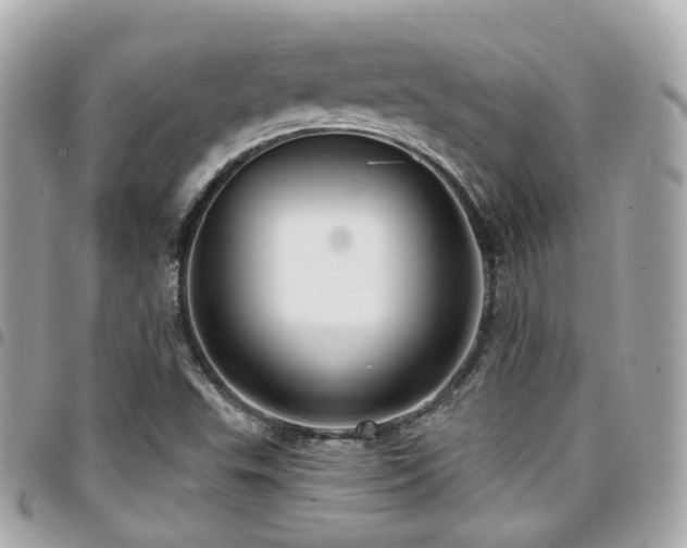 X0000094421503200711081127