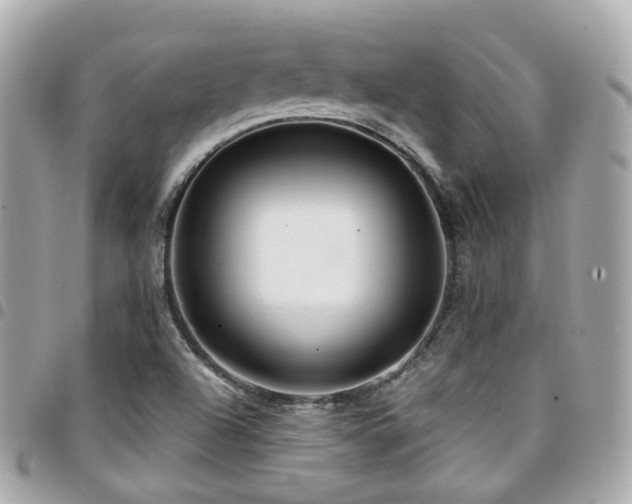 X0000094421504200711081127