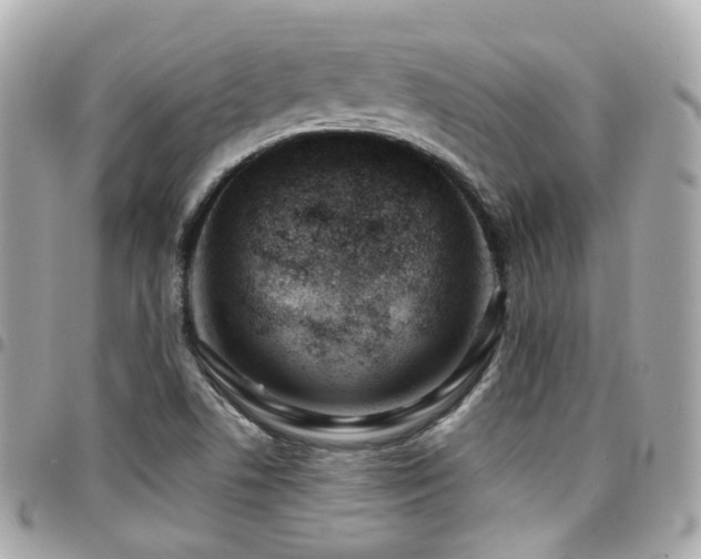 X0000094421506200711081127
