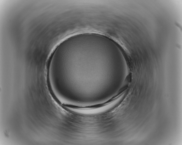 X0000094421508200711081127