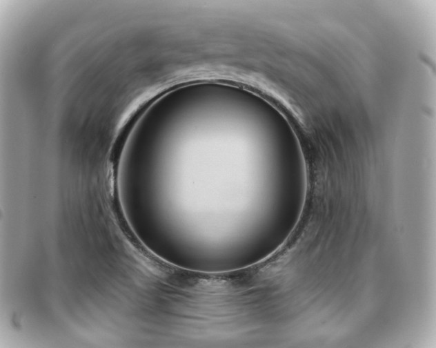 X0000094421509200711081127