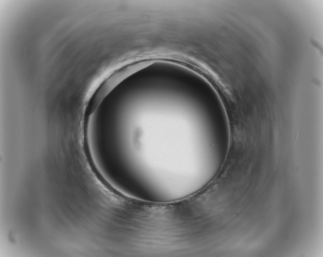 X0000094421512200711081127