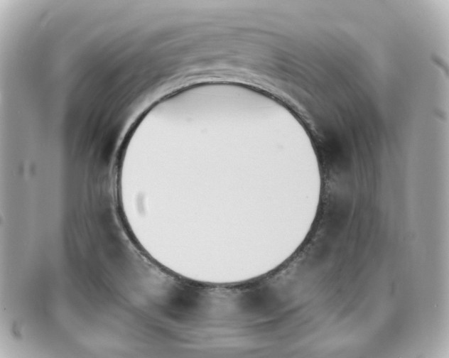 X0000094421514200711081127