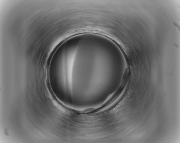 X0000094421515200711081127