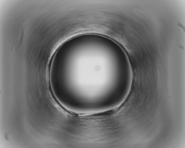 X0000094421516200711081127