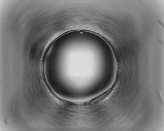 X0000094421517200711081127