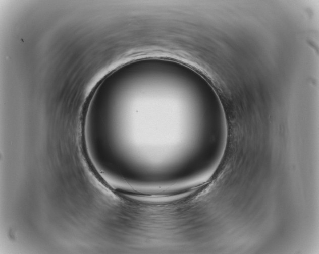 X0000094421518200711081127