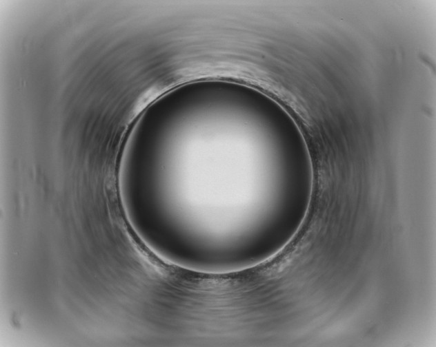 X0000094421521200711081127