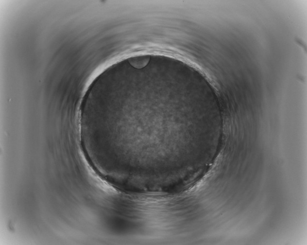 X0000094421522200711081127