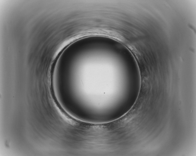 X0000094421523200711081127