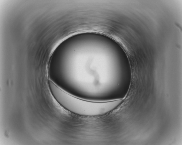 X0000094421524200711081127